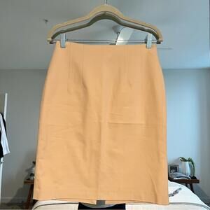 Club Monaco Skirt